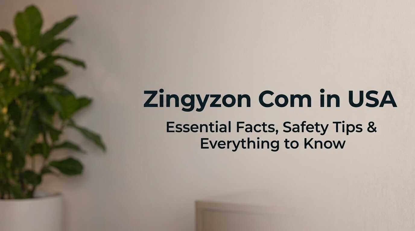 Zingyzon Com in USA Essential Facts, Safety Tips & Everything to Know