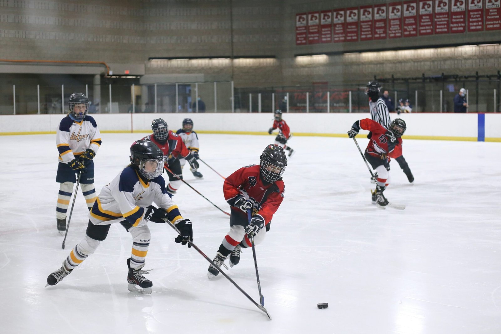 How Long Is a Hockey Game? NHL, Field, and Youth
