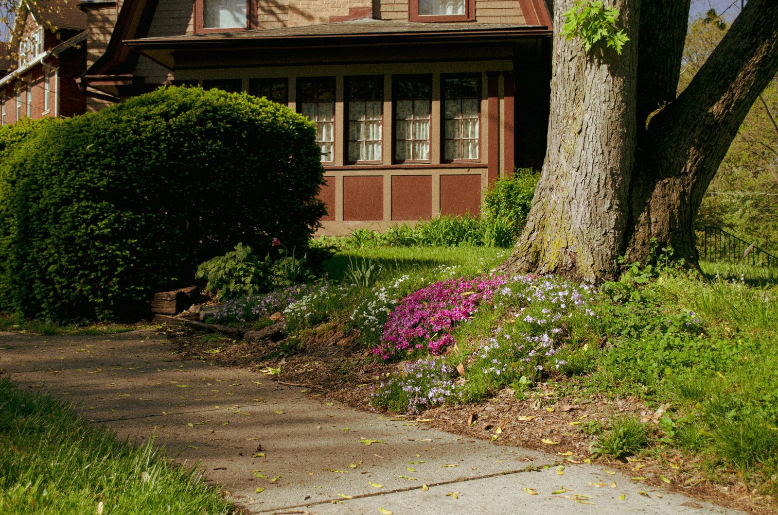 How to Keep Snakes Away From Your House Practical Ways to Make Your Yard Less Attractive featuring yard maintenance, snake prevention, hiding-spot removal, and home protection.