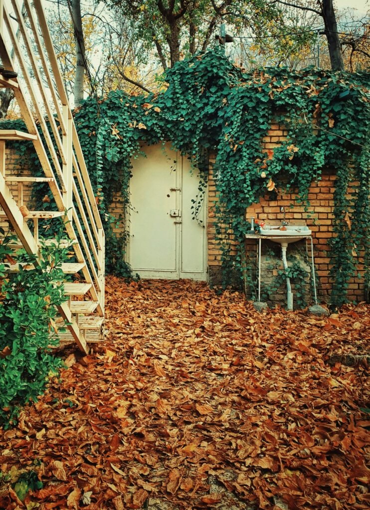 How to Keep Snakes Away From Your House Practical Ways to Make Your Yard Less Attractive guide to yard cleanup, vegetation control, pest prevention, and home entry protection.