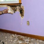 What Should You Do If You Find Termite Damage?