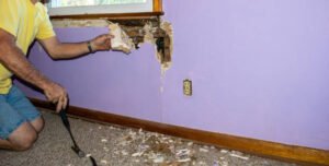 What Should You Do If You Find Termite Damage?